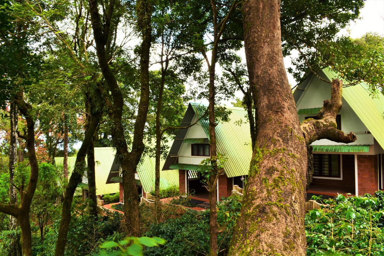 Misty Woods Resort Kakkabe Esterno foto